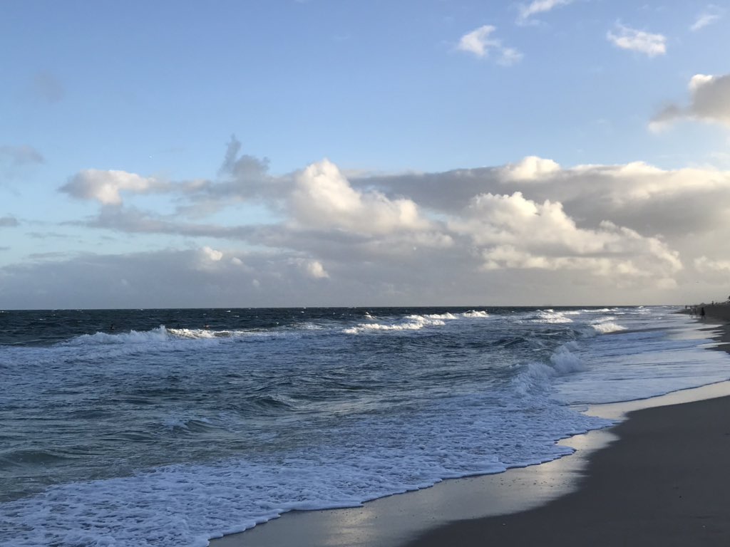 The Catching Guy tweet media