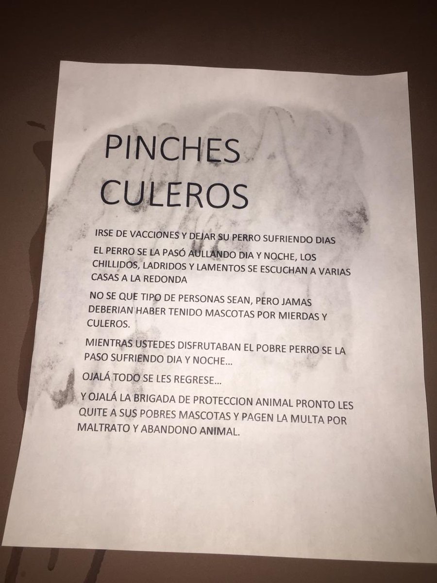 PrrosPerdidosMX's tweet image. Este letrero fue pegado en la puerta de dicho domicilio! La ubicación es Calle Piedra del Sol #82 en la Col. Avante. Sur de la CDMX en la Alcaldía de Coyoacan. Así que ya saben, en ese domicilio viven personas insensibles que no deberían tener mascotas. Rt a ver si no les da pena