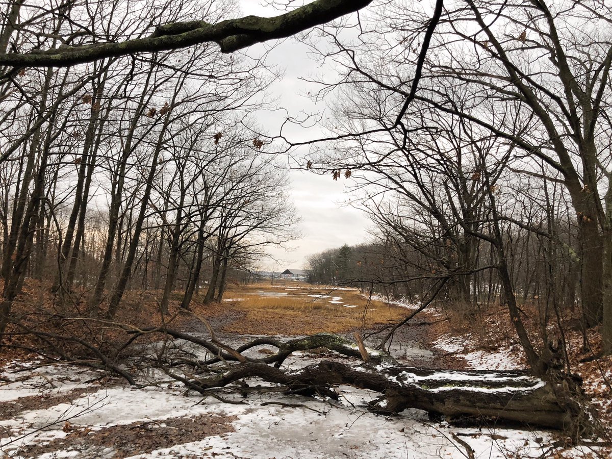  – bei  Fore River Trail