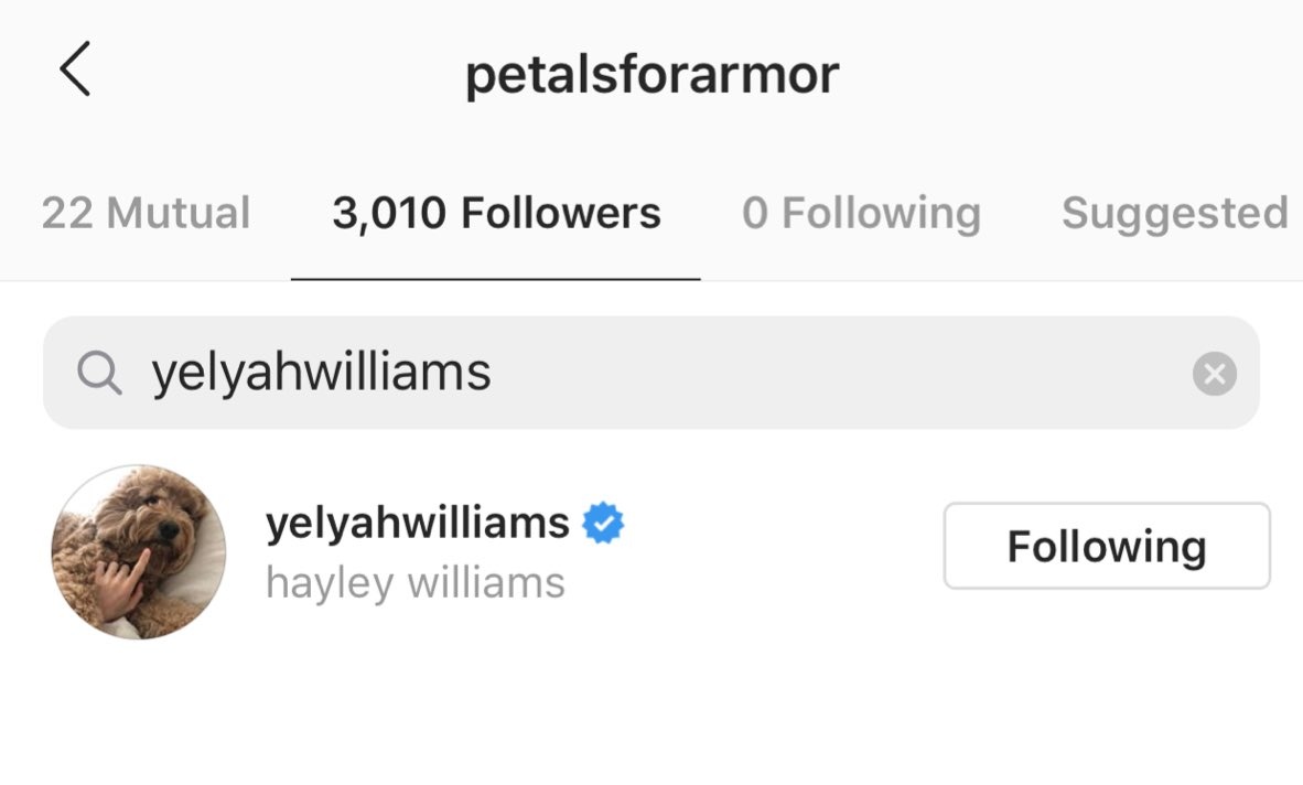 Hayley seguiu o Petals For Armor no Instagram! 

Até então, a conta só era seguida pelo Paramore e pelos amigos da banda.