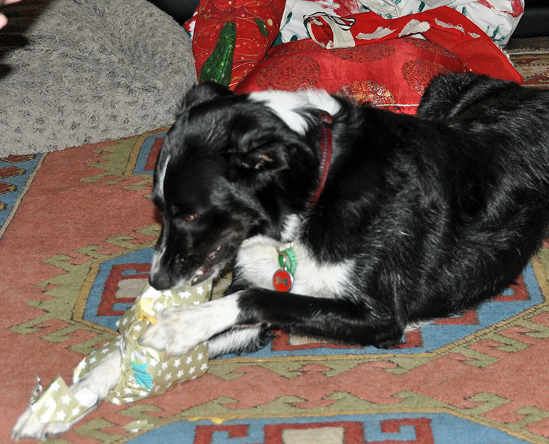 ralphkwalker's tweet photo. Last Christmas of a Decade https://t.co/jcUnnFgWpD https://t.co/ccLlE7SJ1J