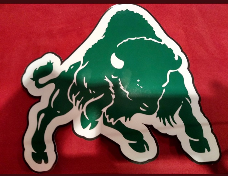 TimmyMatty's tweet photo. Honored to receive an offer to play football with @BethanyFootbal1 #BisonBall2020 @Dash1515 https://t.co/82Fcm4MMpn