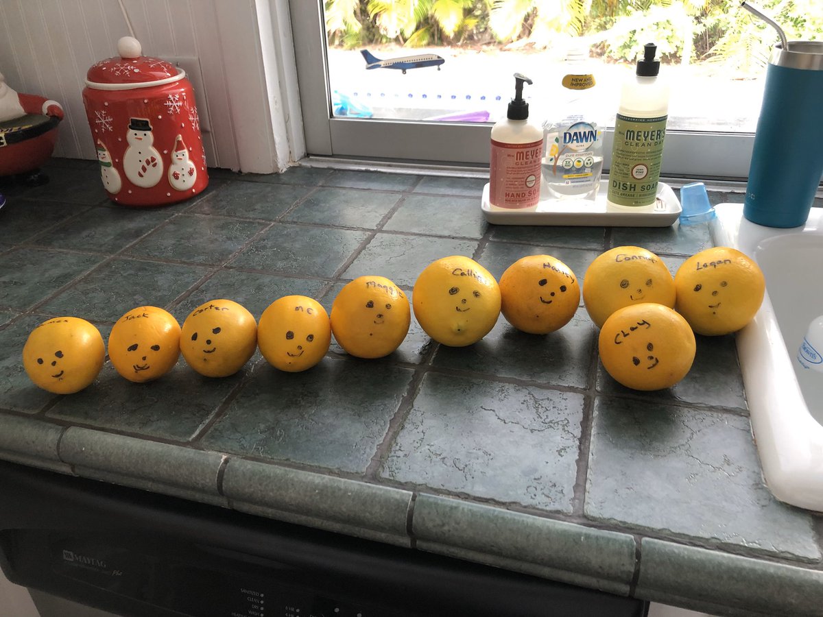 heyhaileyhere21's tweet photo. For Christmas my grandma traveled around Florida to each one of her kids houses. She brought lemons with her that had all her grandchildren's names on it. She decided it would be a good idea to take a picture in each kitchen she was at with the lemons lined up in height order... https://t.co/MOf0Unfx7L