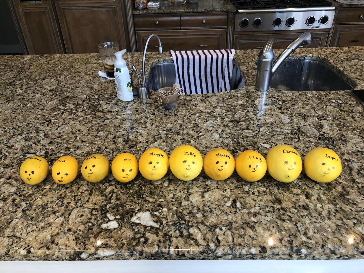 heyhaileyhere21's tweet photo. For Christmas my grandma traveled around Florida to each one of her kids houses. She brought lemons with her that had all her grandchildren's names on it. She decided it would be a good idea to take a picture in each kitchen she was at with the lemons lined up in height order... https://t.co/MOf0Unfx7L