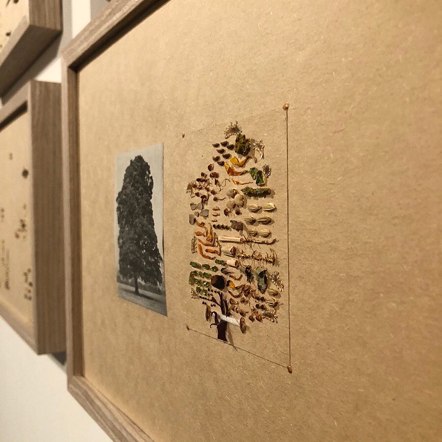 bloomgallery's tweet photo. 【本日最終日!!】
上野王香展「卵中」は本日19時で終了です。ブルームギャラリーの年内営業も今日までです。
まだご覧なられてない方、ぜひお越しくださいね🏃♀️💨
・
https://t.co/TQsO0knNYv
・
#osaka #juso #bloomgallery #uenoouka #上野王香 #exhibition #collage #卵中 #heregg #本日最終日 https://t.co/7Dl4y2cDAG