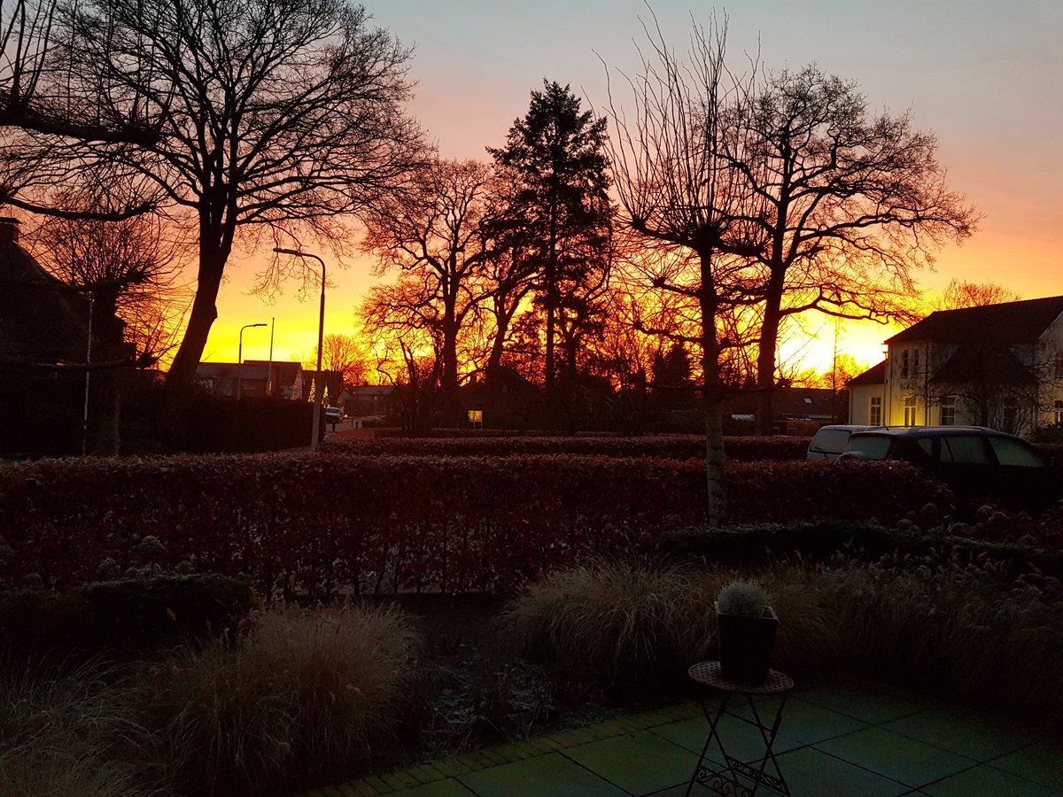 rberg3's tweet photo. De zon komt op, maakt de morgen wakker.... https://t.co/GlhTn8qEOh