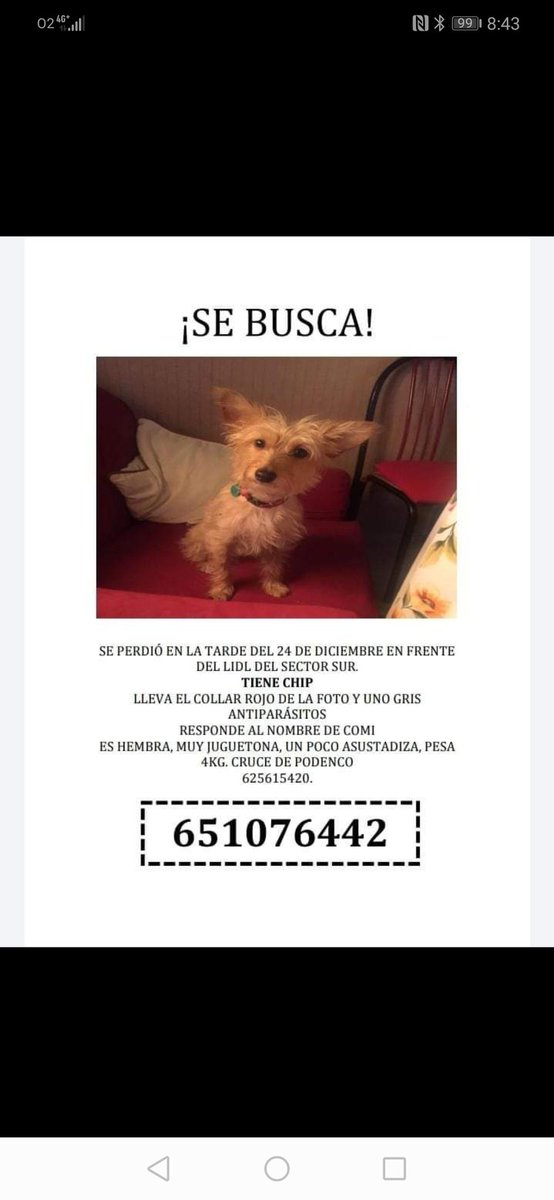 Marta07172503's tweet photo. Difundir https://t.co/zgWhxq9eNI