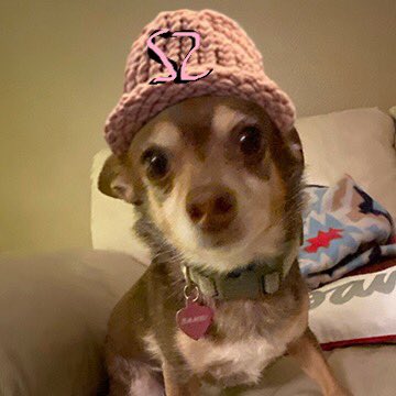 S2 (@s2_fnf) on Twitter photo 