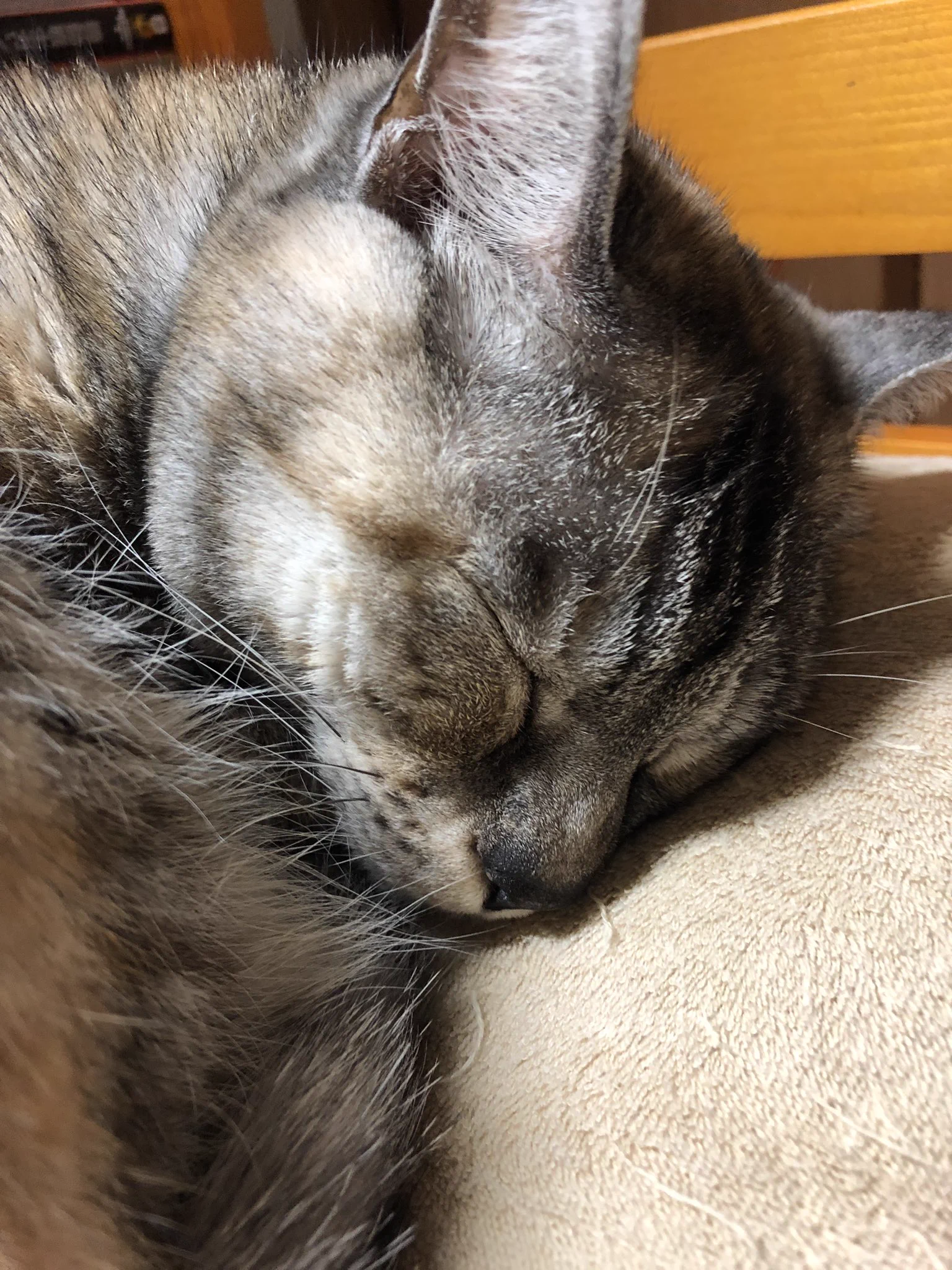 @bokebot 嫌だ…！絶対にふたりで…帰…る…… 