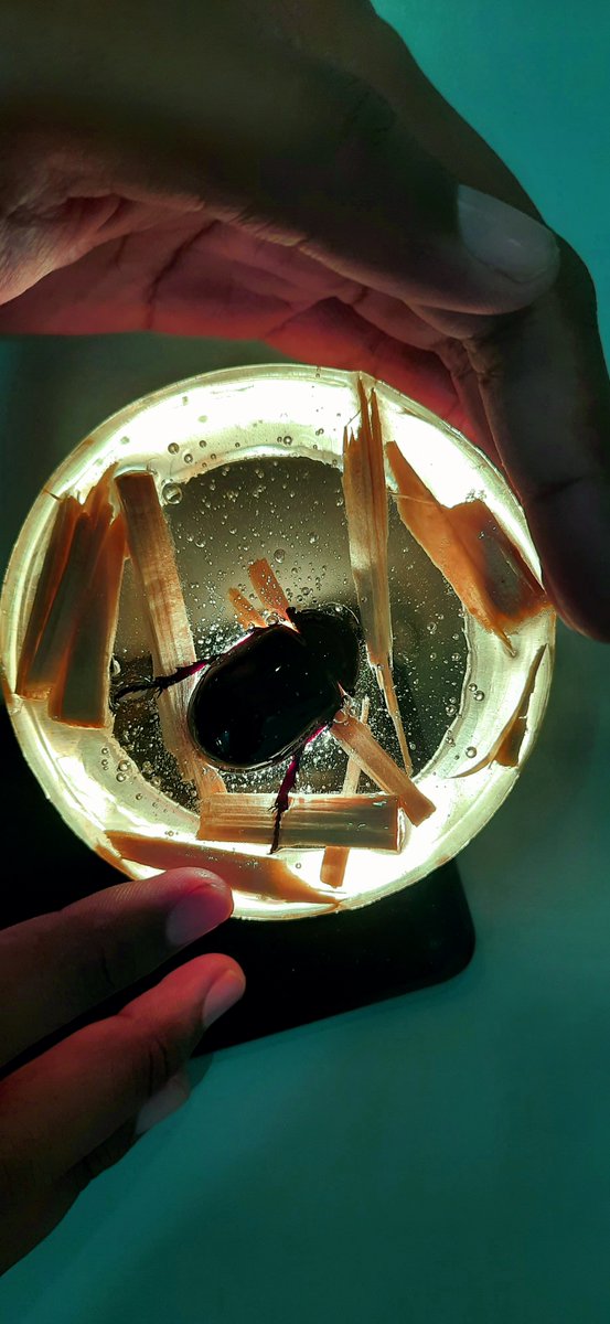 atkcgroup's tweet image. Stay tune of our next coming video...
Using Techbond Epoxy Resin A33 + B33 Water Clear Based Adhesive 🤗👉bit.ly/37a0uum #epoxyresin #epoxyhardener #tabletop