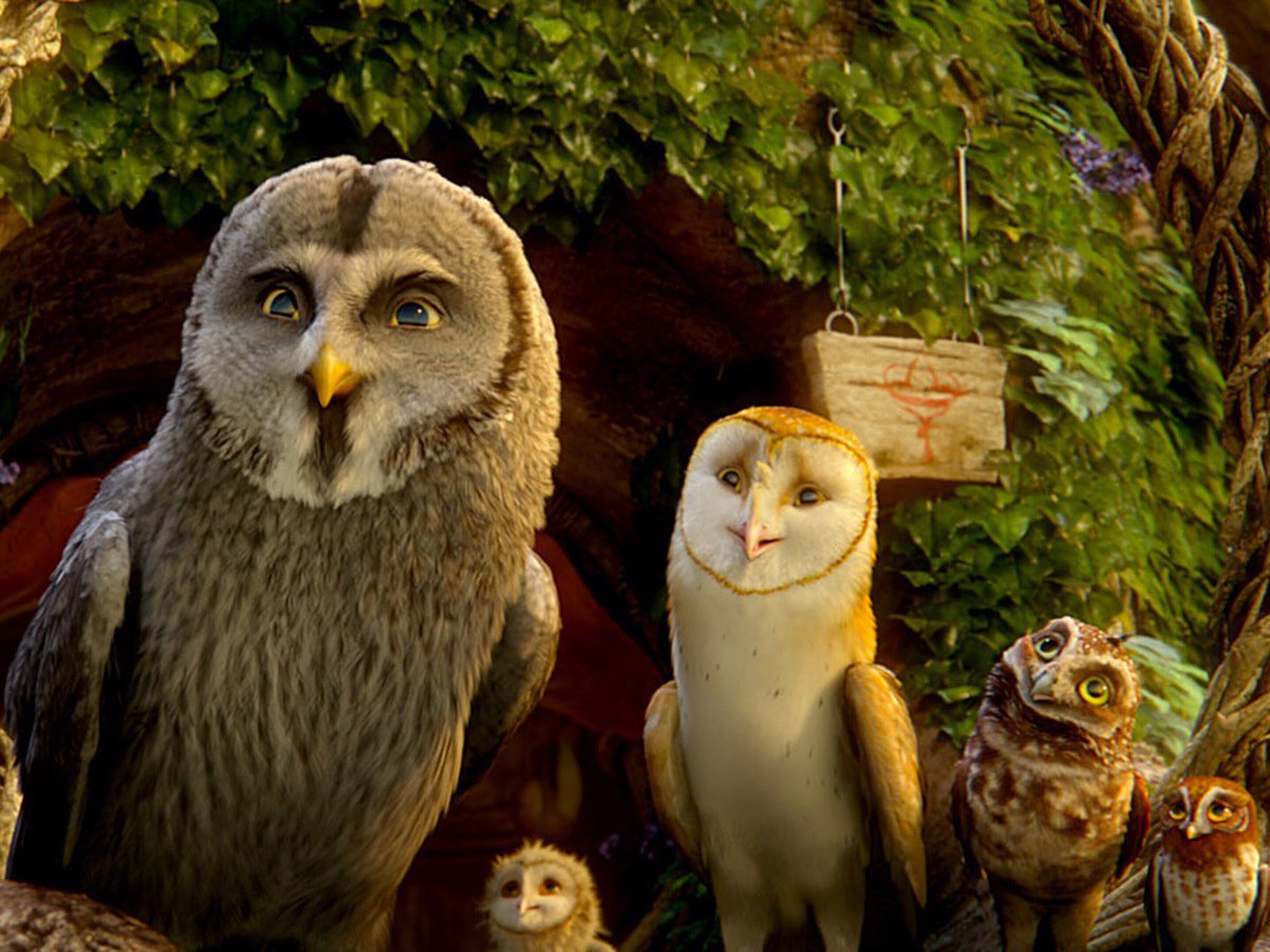 혹시 가디언의 전설 아는 사람 있나.. 찐올빼미랑 부엉이만 나오고 그래픽도 넘예뻤는데... 투구랑 공격용 발톱도 디자인 대박적이었고 스토리도...