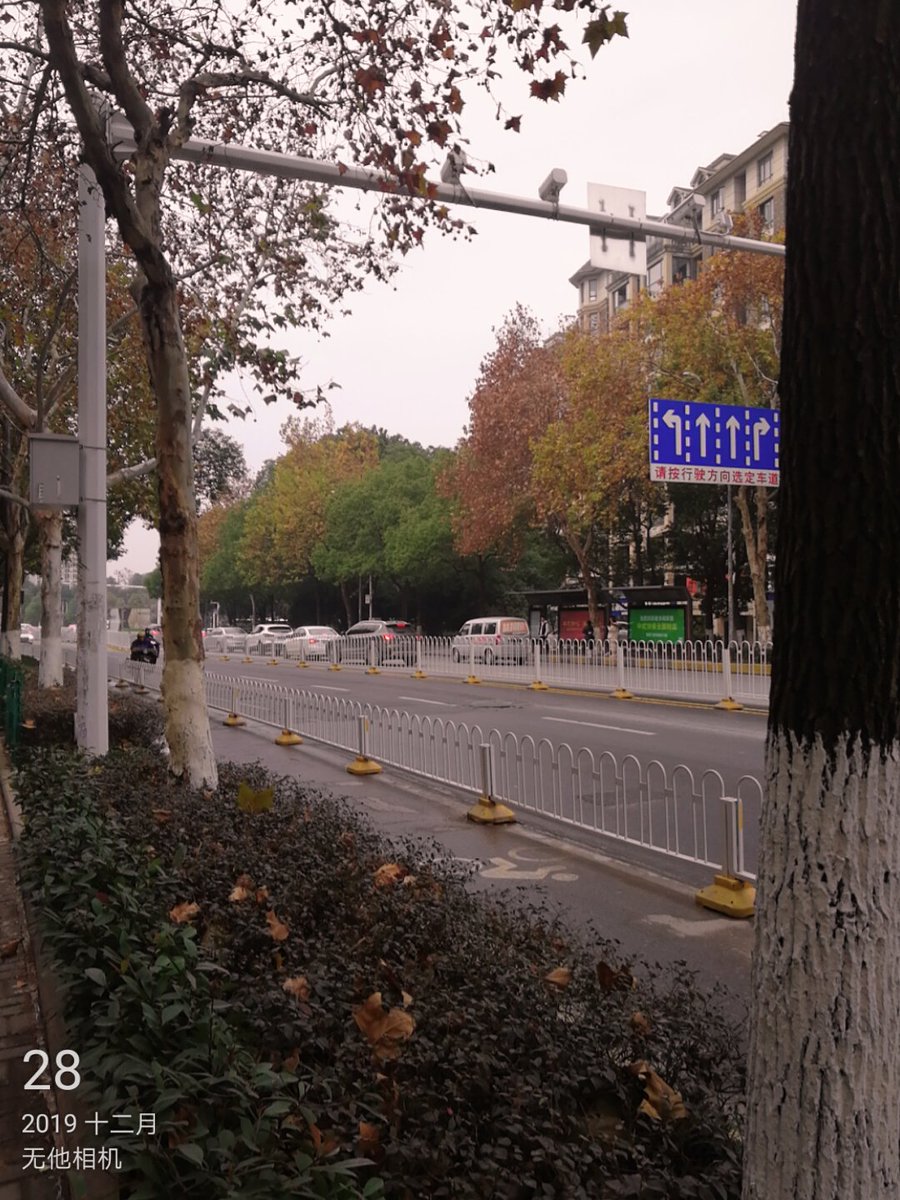 Hong87ddHong's tweet photo. 树叶的变化！ https://t.co/XZfSNjdGt0