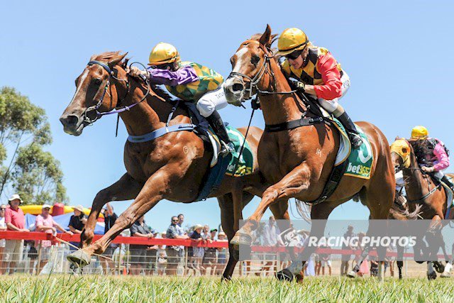 TatumBull's tweet photo. Boxing Day 2019 was one I definitely won’t forget. Was unreal to ride my first winner on It’s A Sahara for Helen Burns &amp; then to score again on Bus Stop Madonna for Paul Krelle which led to my first double which was a dream come true.🏇✌🏼#firstwinner #firstdouble https://t.co/AXhUk0r2pL