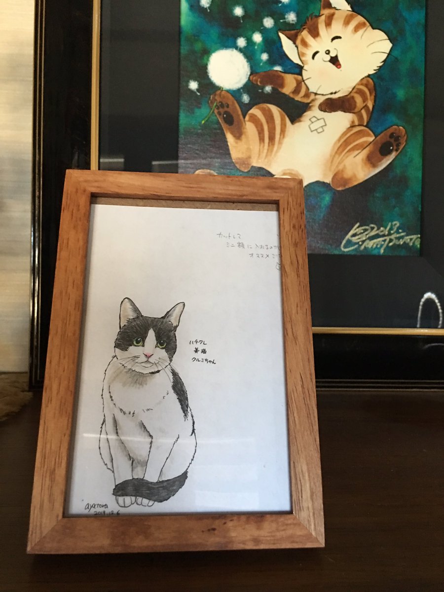 トラジマのミーめ Twitter Search トラジマのミーめ Twitter Search