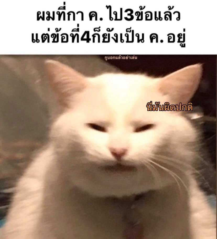 แฟน tweet media