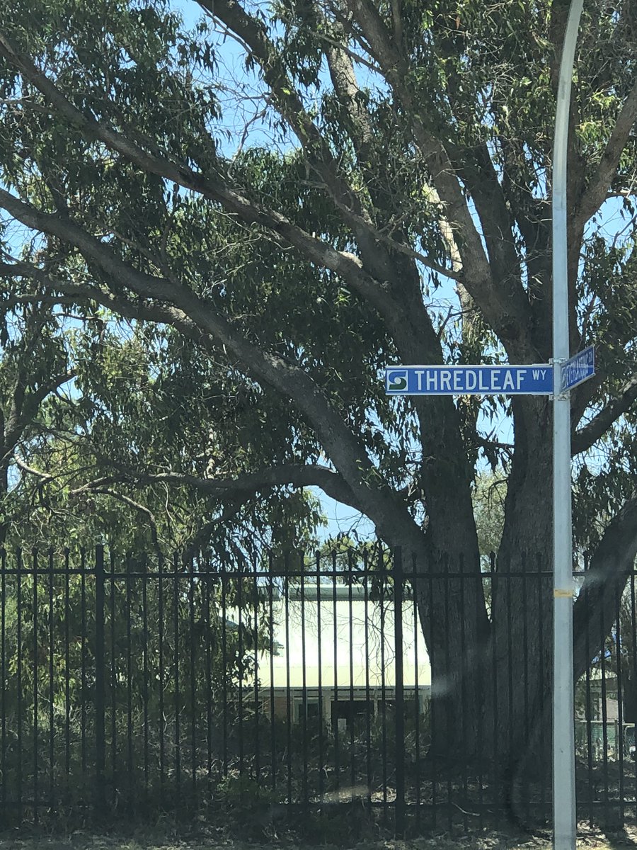 <a href="/citystirlingwa/">City of Stirling</a> Wrong spelling #mirrabooka