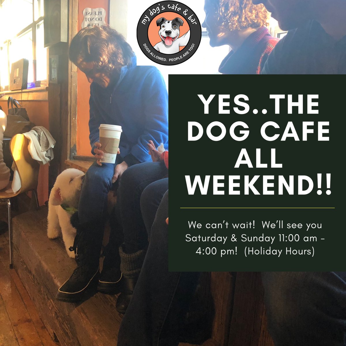 MyDogsCafe's tweet photo. Dogs anyone..or should we say all weekend?  #HamOnt #dogcafe #lockestreetdogcafe #lockestshops #mydogscafe #dogfriendly https://t.co/AwdhMwlaLX