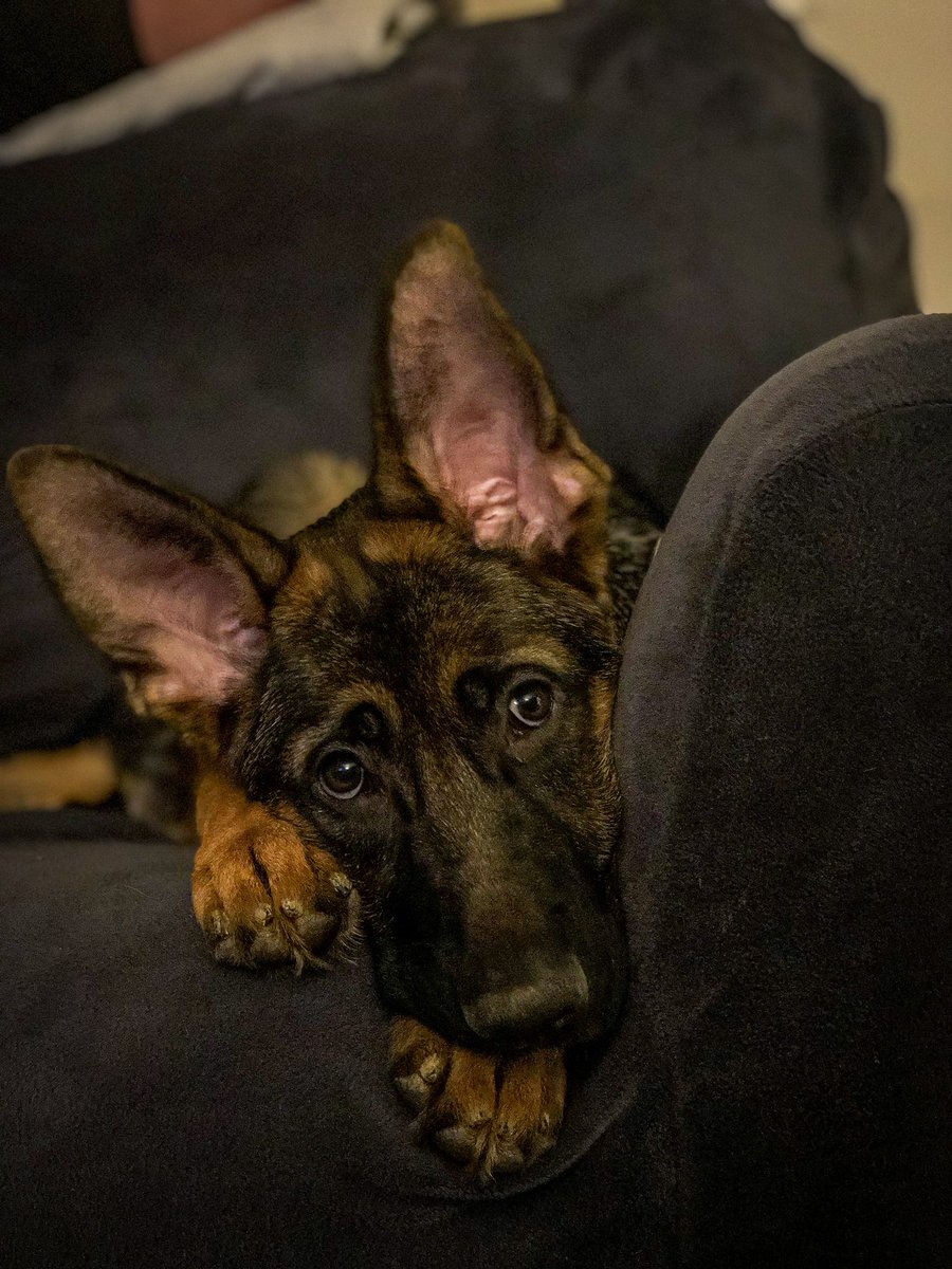 Stephanie Marie tweet media