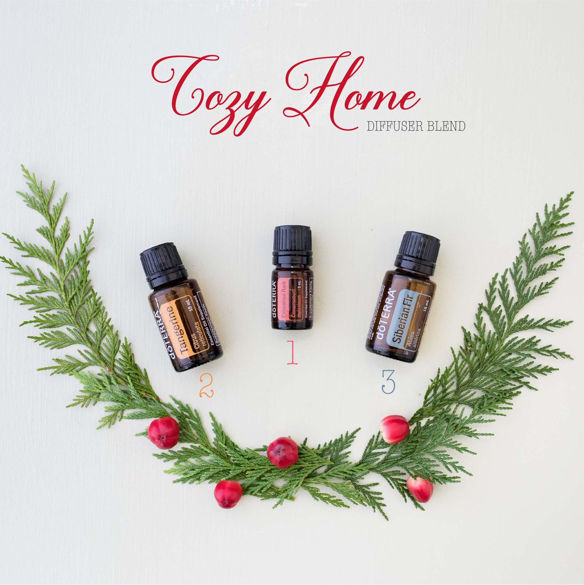 klfritch10's tweet photo. Stay cozy this holiday season with this delicious smelling diffuser blend! What is your favorite holiday smell? https://t.co/WqyxPRE4Dx