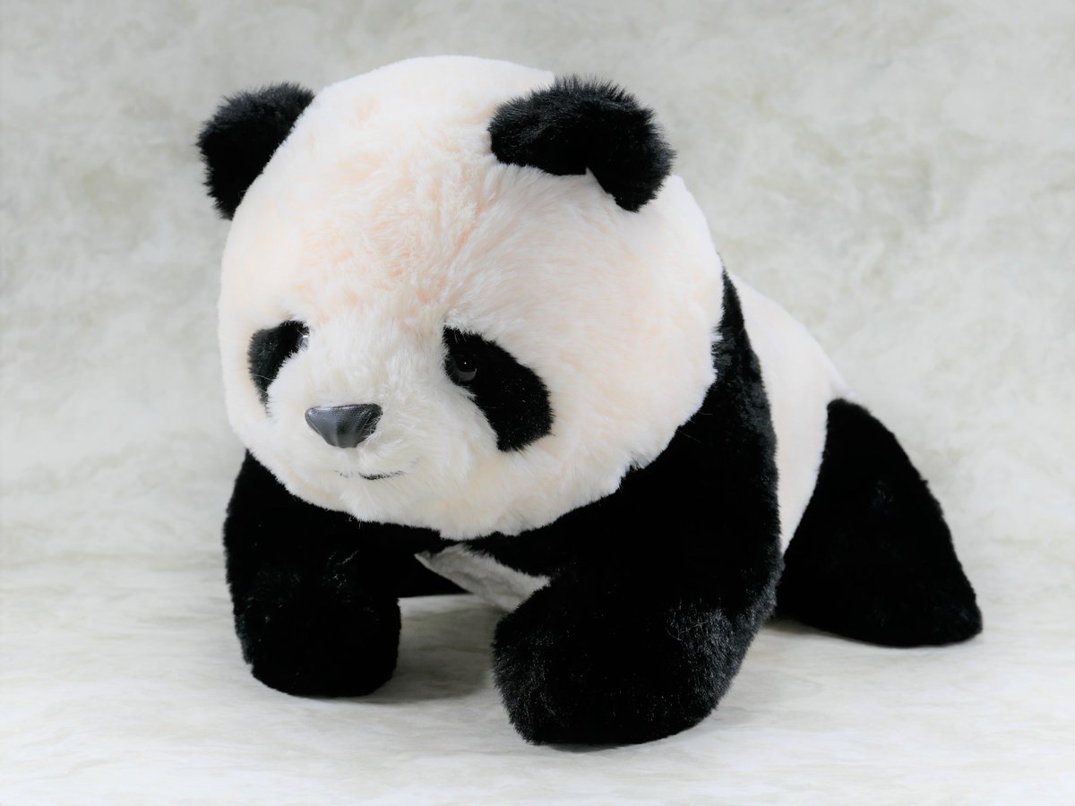 ぬいぐるみ シャンシャン 税込3,960円」好評発売中！ 東園リトル