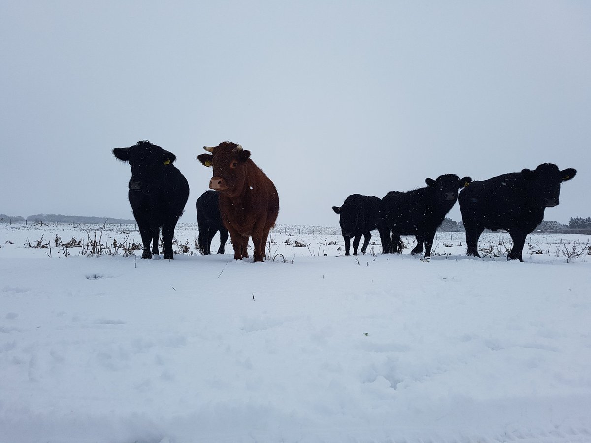 We are open today

Sat 28th 10am to 3pm
 
We will be closed 
Sun 29th
Mon 30th
Tues 31st
Wed 1st 
Open as normal 
Thurs 2nd 12pm to 5pm
Fri 3rd 9am to 5pm
Sat 4th 9am to 5pm