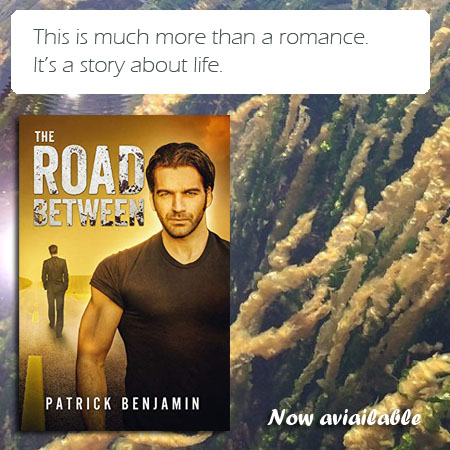 KinzieThings's tweet photo. #TheRoadBetween by #PatrickBenjamin https://t.co/iSXfoDS6lt #OutToday #GreatBook #QueerLit @gaybookpromo https://t.co/XV2T5hxckz