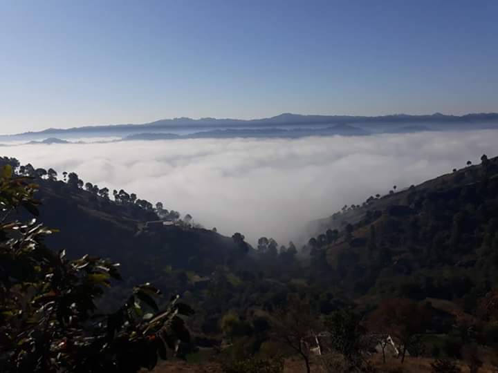 zynexx_1's tweet photo. #KashmirJannat
#MyVillage
#UnderTheClouds https://t.co/3S6nhyP7Os