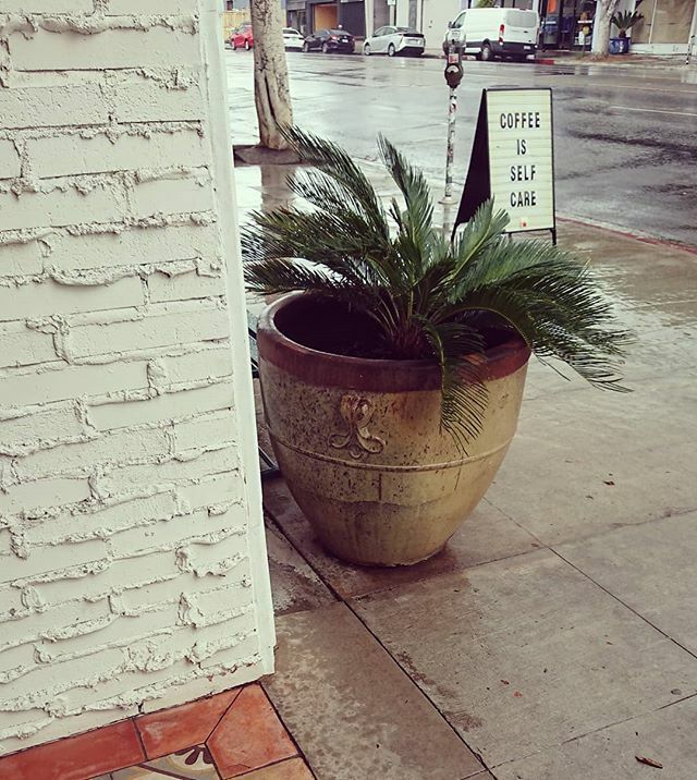 ecliptic6's tweet photo. Channeling my father's Ektachrome 64 (OK, maybe through caffeinated goggles)
.
.
.
.
.
.
.
.
.
#streetlife #pottedplants #yearinreview #notapentaxs3 #shotonsonyxperia https://t.co/0MPFlOPiYY