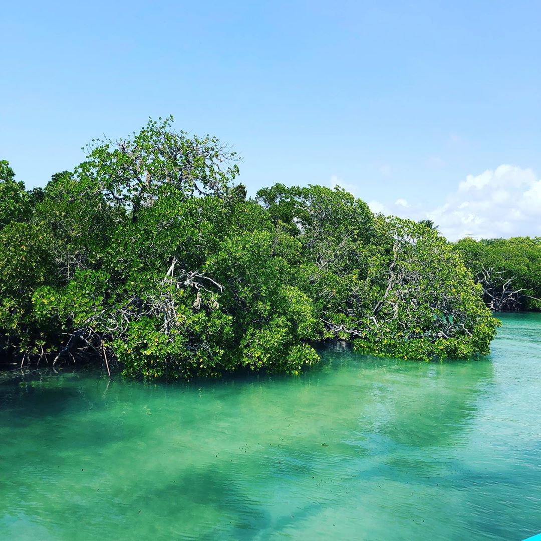 Mida Creek, Watamu. Photos by Alessandra, Vanessa Di Nardo and Carola Cosa