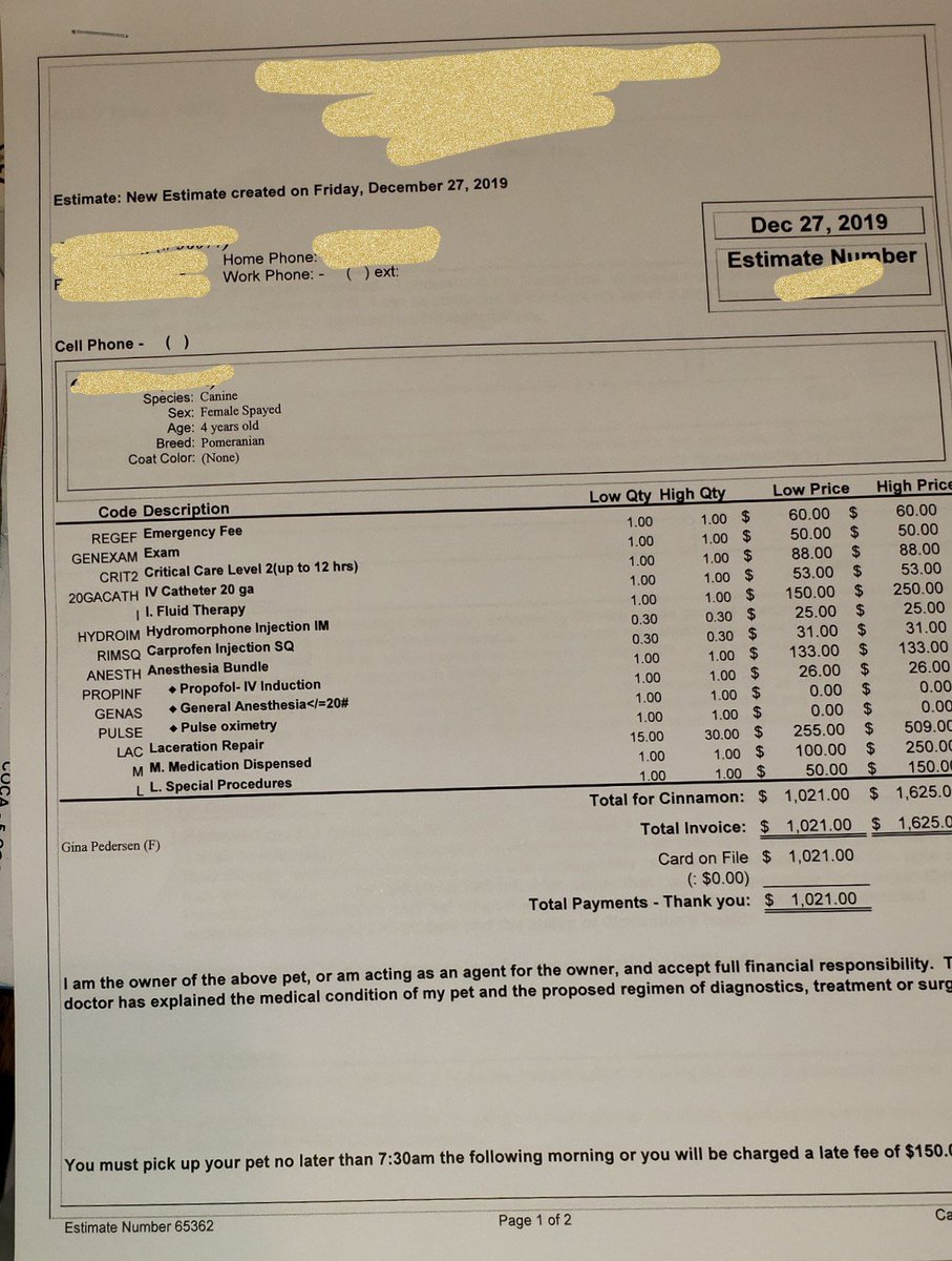 PayUrPrincessY_'s tweet photo. My fur baby got attacked by a bigger dog and has multiple puncture wounds. She's in the Vet ER for surgery and stitches.
I'm a crying mess I'm sorry if I dont make any sense.

Please, from the bottom of my heart, please help with whatever you can even if it's just $5. Thank you https://t.co/TYmqhoNeF2