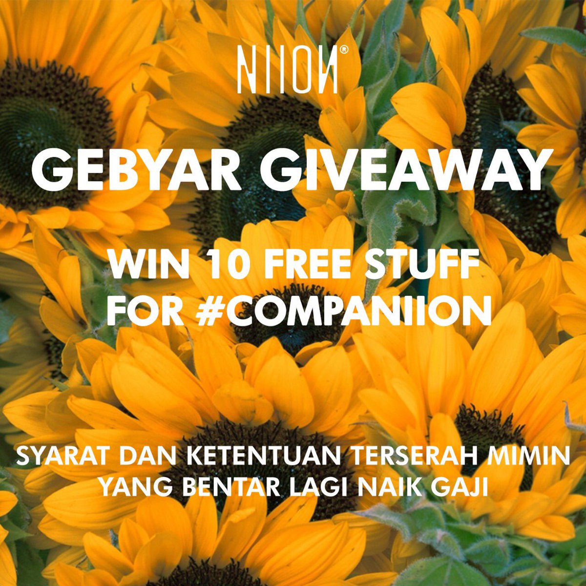 NIION_ID's tweet photo. NIH BUAT #companiion karena mimin berhasil jadi trending #naikingajiadminniion no.1 adaaaa 10 NIION untuk teman twitter

(Syarat yang pertama gampang, RT dulu aja thread ini sampe 300 lagi deh ga susah+komen kenapa kalian sayang mimin?) #gebyargivewayniion https://t.co/4LmiFU2N4f