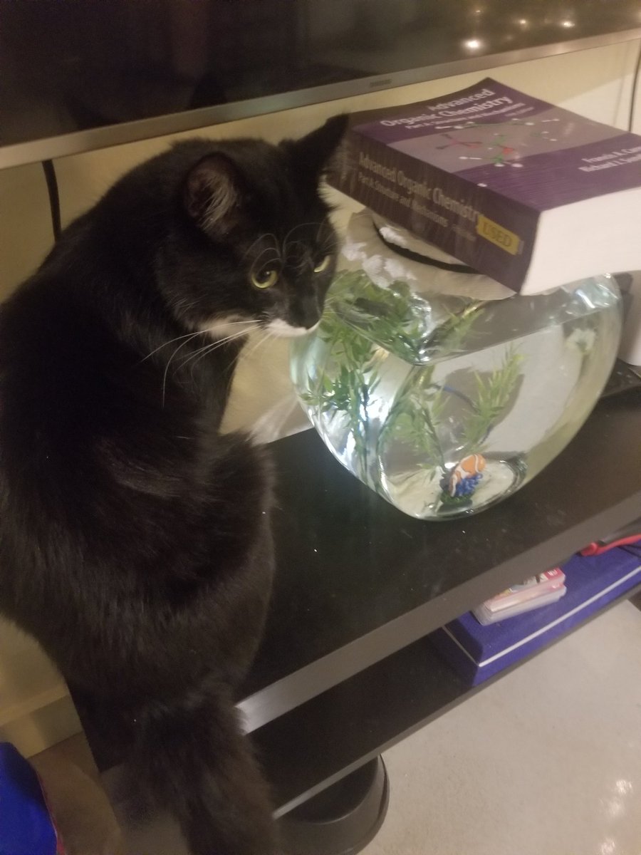 O-chem keeping fish safe since 2019