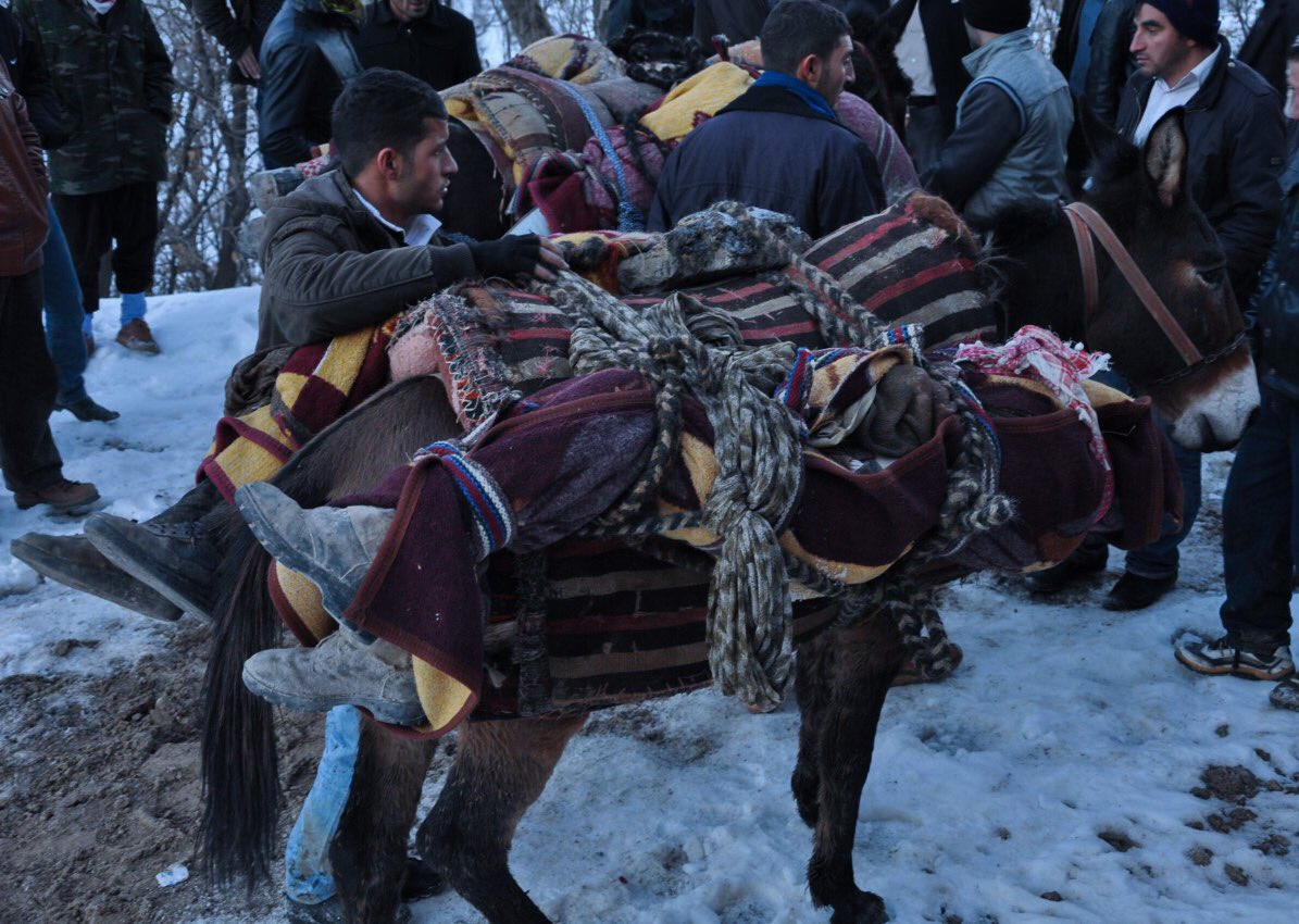 “Pasaporta ısınmamış içimiz 
Budur katlimize sebep suçumuz, 
Gayrı eşkiyaya çıkar adımız 
Kaçakçıya 
Soyguncuya 
Hayına...”
#Roboski8YilOldu 
#UnutursamKalbimKurusun