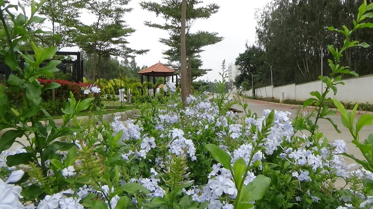 IndyaEstates's tweet photo. !!!PICOFTHEDAY!!! Take a stroll, feel the fresh atmosphere or watch your kids enjoy their playtime in your  own luxury abode at #IndyaEstates we make sure all this Possible for #Happystaying
Homes with 50+ amenities only at #Indyaestates  #PICOFTHEDAY #TheGreens #Anekal #Attibele https://t.co/DZItJdy0WO