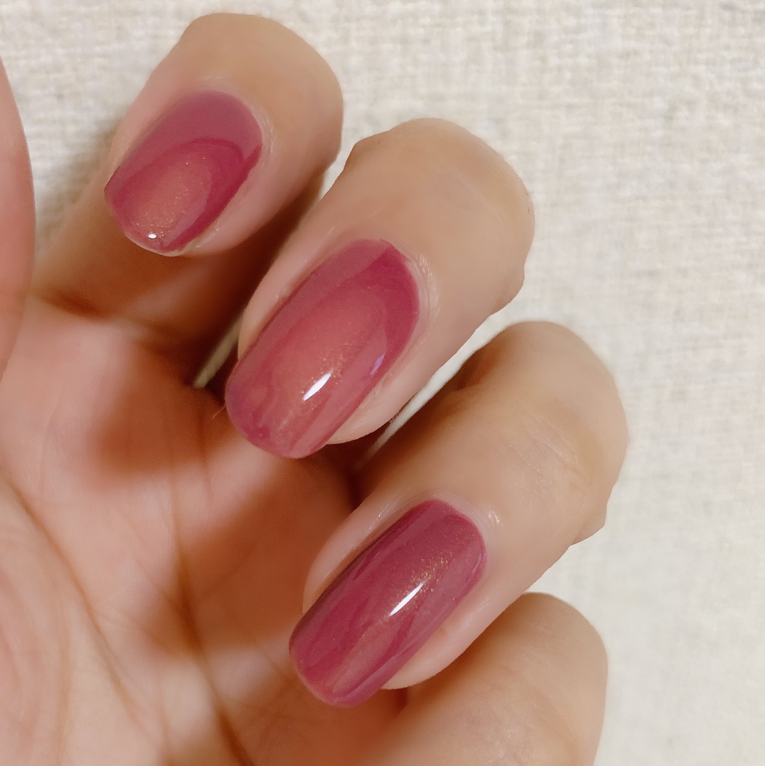 エクシアの14番 派手ではないけれど 華やかさは兼ね備えている 話題の画像プラス