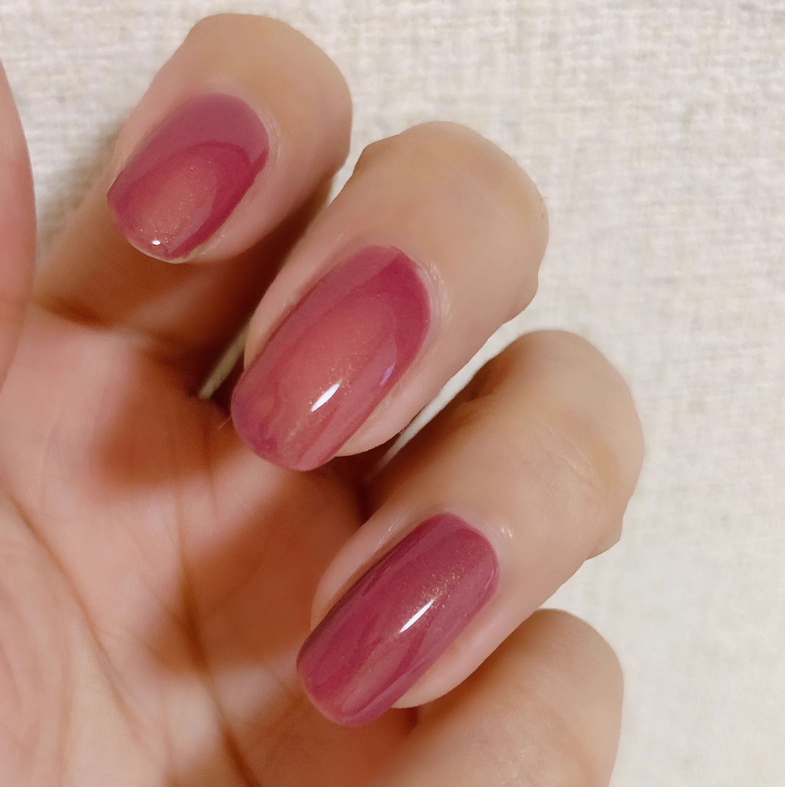 「エクシアの14番」派手ではないけれど、華やかさは兼ね備えている!!!!!!
