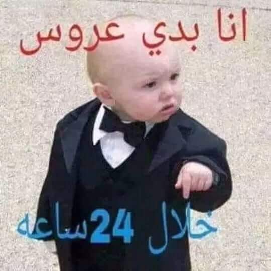 HODa (@hoda23311262) on Twitter photo 