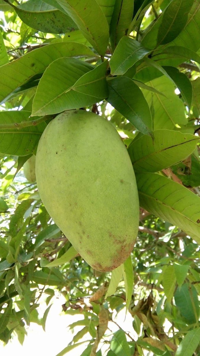 #BTUAU เต้นรำกันมั้ย?