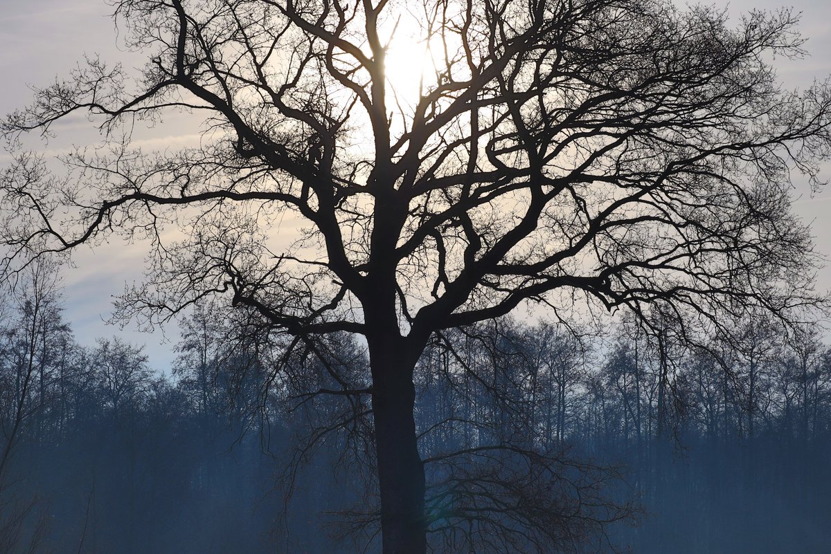 De Zumpe is een uniek natuurgebied aan de rand van #DOETINCHEM waar veel mensen van genieten. Daar zouden we zuinig op moeten zijn! En daarom: géén tankstation aan Oostelijke Randweg Doetinchem. Teken s.v.p de petitie op bescherm-de-zumpe.nl bescherm-de-zumpe.nl. <a href="/DeZumpe/">Bescherm De Zumpe</a>