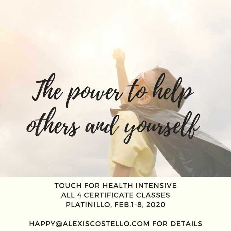 healthylexi's tweet image. Touch for Health Intensive, levels 1-4 in Costa Rica. alexiscostello.com/touch-for-heal…
#specializedkinesiology #kinesiogeek #bctouch4health #holistichealth #CostaRica