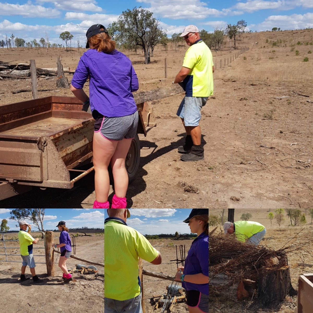 kylie_slack's tweet photo. Christmas fencing and clearing old rusty barbed wire. Great Saturday afternoon job.  A farmers work is never easy. #Standupforqldag https://t.co/55o7y6WXeN