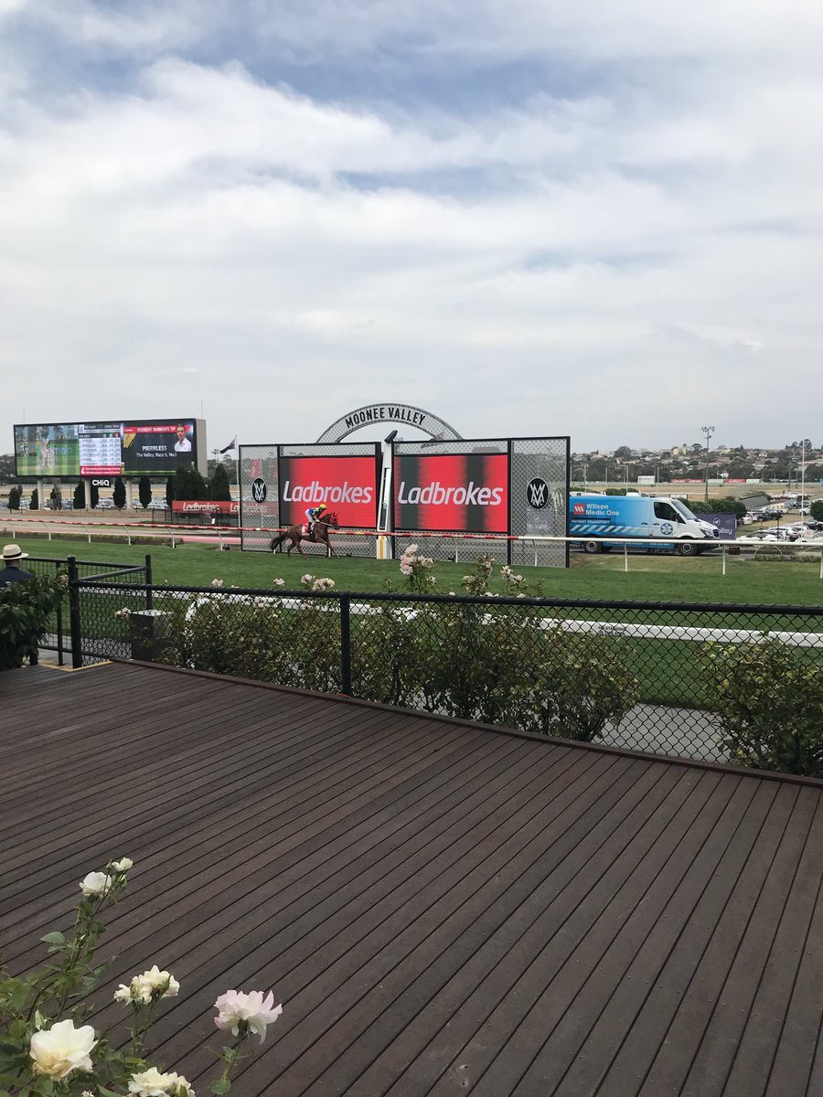 1000giggles's tweet photo. #OutstandingDay @TheValley #LoveTheValley Congrats to all winning owners&we hope all owners&connections enjoyed @SunStudHQ SunlineSuite #Always1000Smiles #ItsAllAbout #ThoroughbredEntertainment #LoveMyRole #LoveOwners @RacingInsider #HNY every1 🐎🎉 🤓👏 https://t.co/Wr9Q5vYxIj