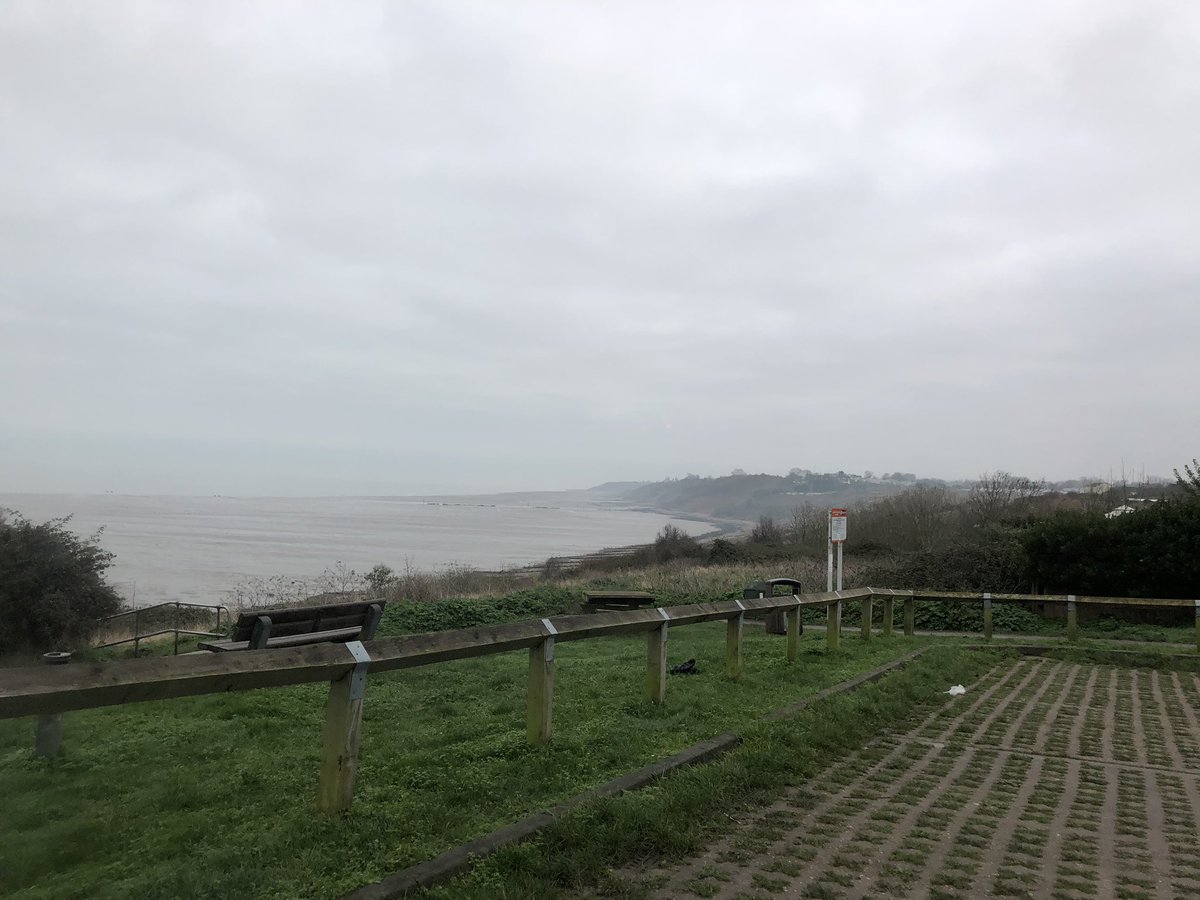 WonkyBearJr's tweet photo. The human and the bear are at The Leas parkrun this morning to reclaim 100-per-Kent! Be nice if you see them, the human’s got a bit of a sniffle 🤧 #whereswonky #loveparkrun https://t.co/bTh7mwaJKr