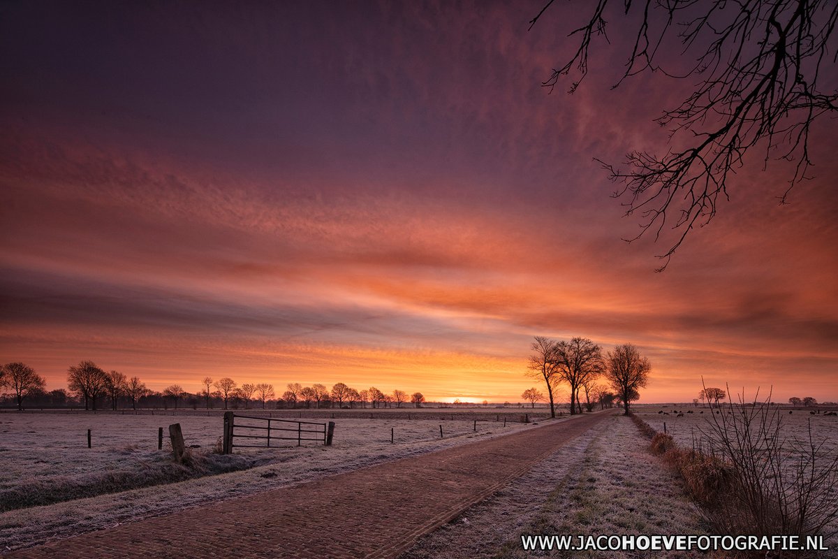 JacoHoeve85's tweet photo. #Goedemorgen!
Genomen op 28 #december 2019 in #Staphorst.
#landschap #landschapsfotografie #landscape #landscapephotography #holland #winter #28december2019 @marcopverhoef @GerritHiemstra https://t.co/1h951m041x