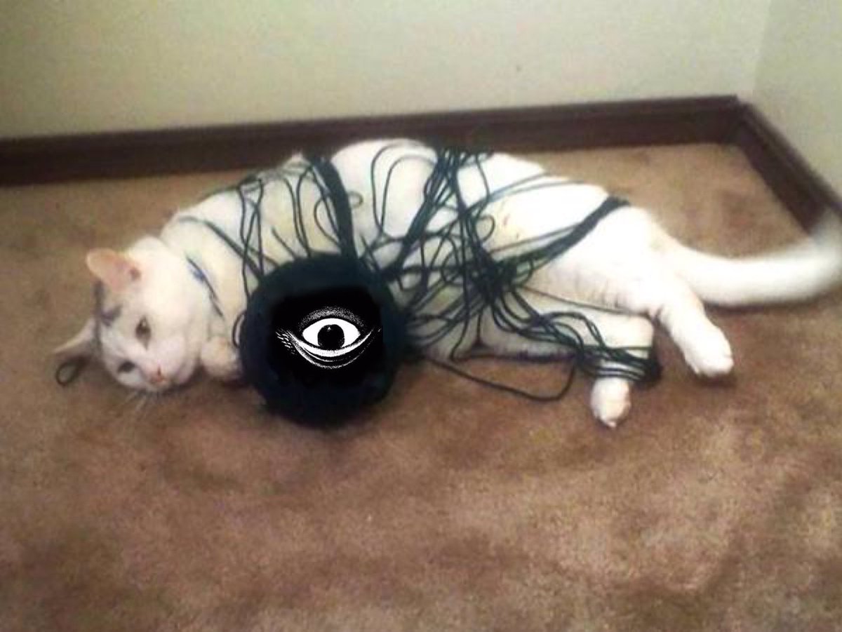 白猫が祟り神に襲われてる ジブリのトラウマシーンがよみがえりそうな写真が話題に 話題の画像プラス