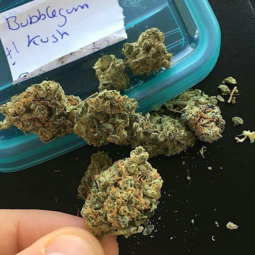 BosPriime's tweet photo. .Plan_Beuh nos produits Weed, Hash, Shit contact👇👇👇
Signal/Bossmaxx
telegram/ bossmaxx
wickr Me/ bossmaxx 
Kick/ boss__maxx 
@prilaga #canadaweedjobs #canadaweedplug #canadaweedcapitaloftheworld #canadaweedsociety #canadaweedlover #canadaweedmemes #canadaweedlovers https://t.co/x8GQXijgyT