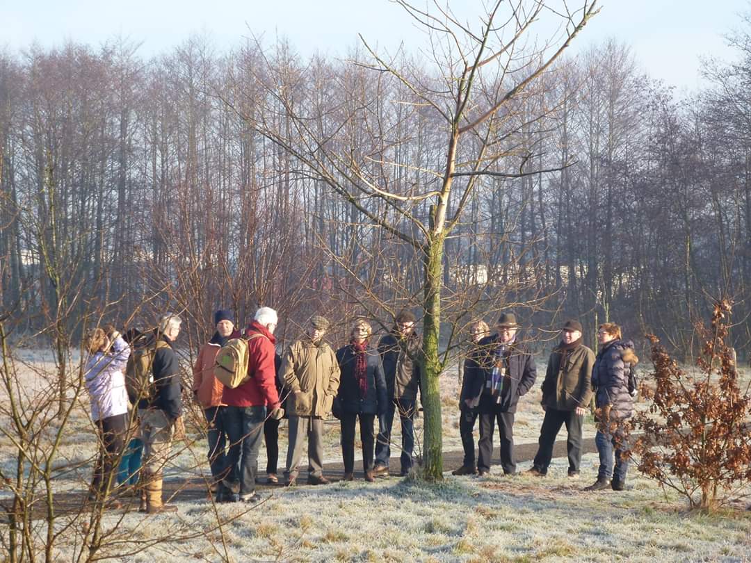 Loop zondag 29 dec mee met de Oudejaarswandeling van IVN Oss door Herperduin.
Verzamelen: 10 u op de parkeerplaats van openluchttheater Hoessenbosch in Berghem.
ivn.nl/afdeling/ivn-o…