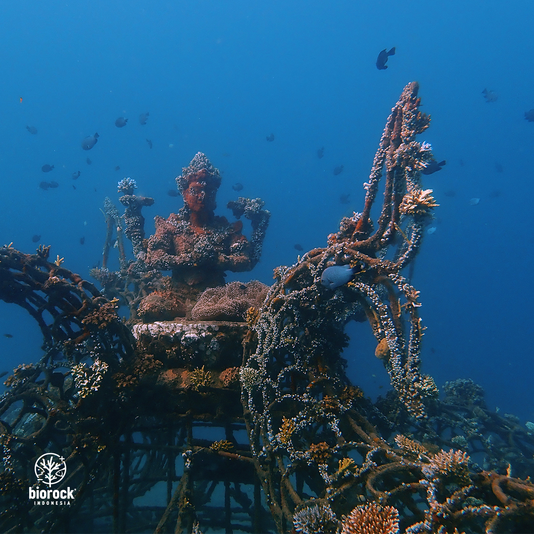 Tahun 2019 akan segera berakhir! Apa saja yang telah Anda lakukan pada tahun ini? Semoga apapun yang baik dapat dilanjutkan tahun depan. Salam lestari :)
.
.
#biorock #biorockindonesia #coralreef #conservation #bali #coral #restoration #karanglestari #ayobantuseKarang