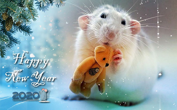 HotelBien's tweet photo. #bien#2020#newyear#merrychristmas#santa#home#room#hotel#armenia##winter
Dear friends and colleagues!
With all our friendly team, the Bien Hotel wishes you a Merry Christmas and Happy New Year. https://t.co/LrxxPQwM3k