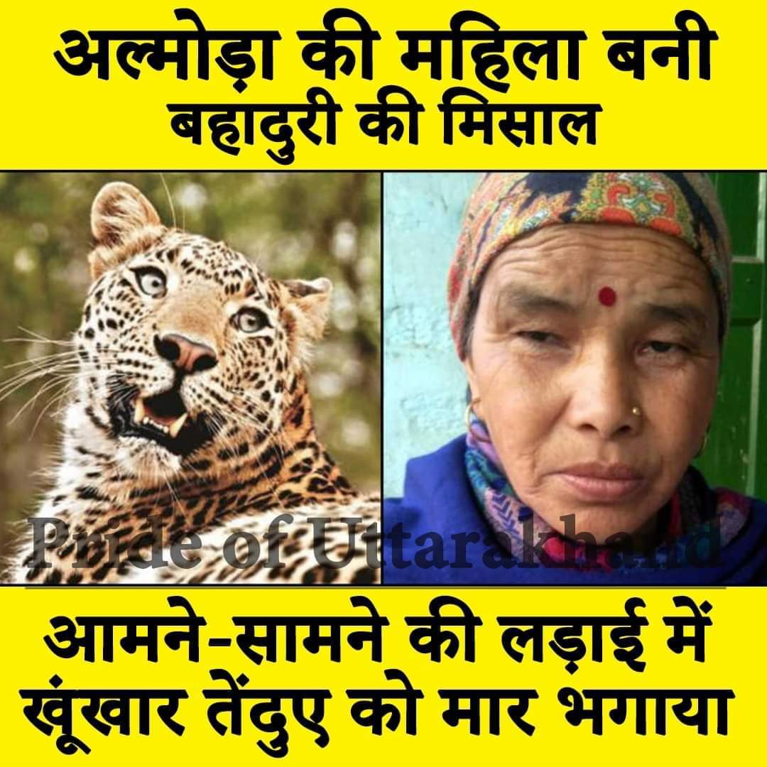 khushalsinghdo1's tweet photo. कौशल्या बिष्ट अल्मोड़ा में द्वाराहाट के ढूंगाधारा गांव की हैं खेत में काम के दौरान तेंदुए ने जब उन पर जानलेवा हमला किया तो दरांती से उन्होंने तेंदुए पर पलटवार कर दिया और घायल कर दिया काफी देर तक चले इस द्वंद में कौशल्या काे भी बाघ ने घायल कर दिया परंतु बाद मे बाघ जान बचा भाग गया https://t.co/V6JlDD5GFm